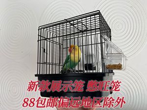 袁元新款展笼 憋旺笼外出放飞鸣唱听叫笼芙蓉鸟玉鸟鹦鹉七彩文鸟