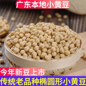 广东农家自种本地小黄豆非转基因有机小粒土黄豆打豆浆专用老品种