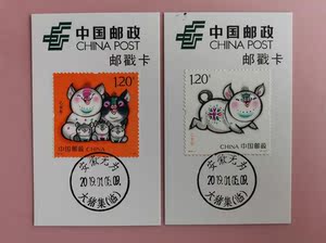 2019-1丁亥年生肖猪年邮票邮戳卡 安徽大猪集