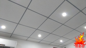 办公室厂房房间PVC扣板石膏板铝扣板吊顶600x600天花板装饰材料
