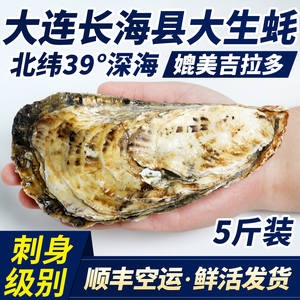 大连超大特大生蚝5-7两鲜活新鲜海蛎子非乳山生蚝牡蛎5斤装包邮