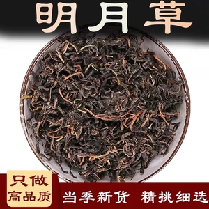 明月草500克明月草茶长寿草神仙草中药材店铺药材大全粉