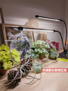 植物补光灯植物生长灯室内LED全光谱阳光照明USB多肉灯增色植物灯