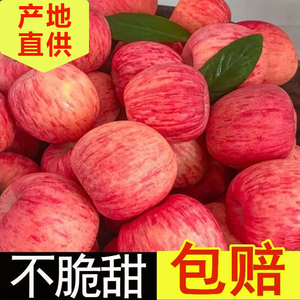 苹果水果新鲜当季正宗大沙河红富士10斤现摘野生冰糖心丰县丑苹果