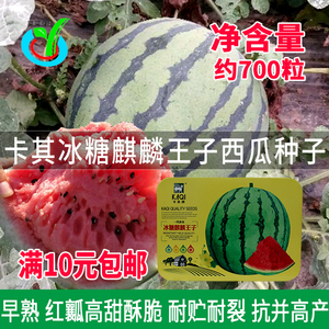 神禾种业冰糖麒麟之冠约700粒 西瓜籽高产抗病甜脆多汁易种植早熟