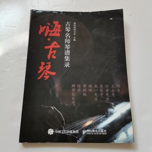 二手嗨 古琴 古琴名师琴谱集录 /嗨的国风音乐 人民邮电出版社