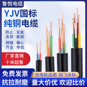 国标纯铜芯YJV电缆线2 3 4 5芯2.5 4 6平方三相充电桩电缆线阻燃