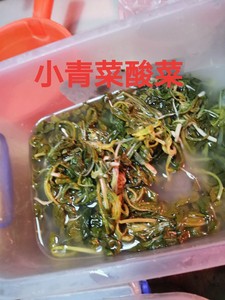 贵州毕节黔西特产酸菜鱼的酸菜正宗老坛农家无添加鲜小油菜泡酸菜