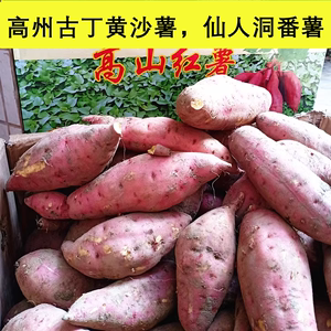 高山红薯仙人洞爆皮王基地黄肉蕃薯新鲜番薯黄沙板栗红薯地瓜5斤
