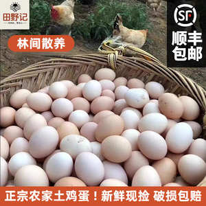 【田野记】土鸡蛋30枚农家鸡蛋新鲜正宗散养草鸡蛋柴鸡蛋整箱包邮