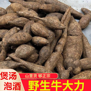 特级广西深山牛大力野生新鲜现挖中药材猪脚笠山莲藕金钟根粉质薯