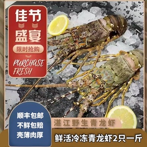 龙虾鲜活大龙虾小青龙虾波士顿澳洲花龙鲜活活冻海鲜水产2只一斤