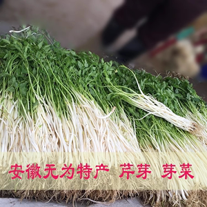 安徽无为特色蔬菜 芹芽芹菜 水芹水芹菜新鲜蔬菜量大优惠每份4斤