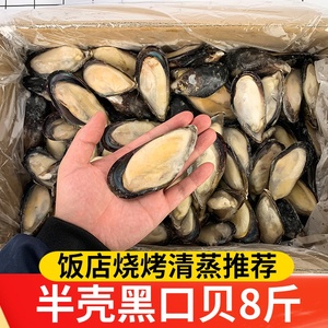 半壳蓝口贝黑口贝新鲜冷冻贻贝淡菜海虹海鲜烧烤整箱8斤饭店商用