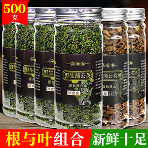 蒲公英大根 淘宝拼多多热销蒲公英大根货源拿货 阿里巴巴货源