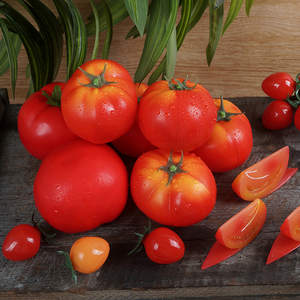 仿真西红柿模型小番茄块红黄圣女果串泡沫塑料假蔬菜拍摄道具教具