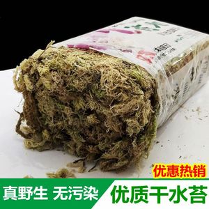 干水苔藓石斛蝴蝶兰花食虫捕蝇猪笼草多肉环盆栽水陆缸种植营养土