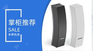 bose/博士502A 402 会议室多功能厅专用音箱