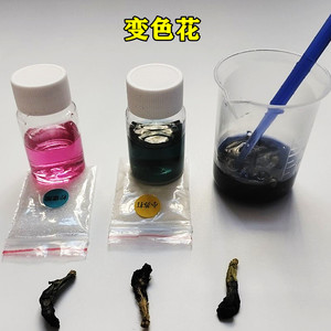 变色花紫甘蓝花青素植物酸碱认知化学科学实验科技小制作材料包