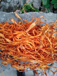 北冬虫夏 淘宝拼多多热销北冬虫夏货源拿货 阿里巴巴货源