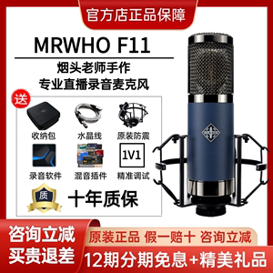 MRWHO F11大震膜电容话筒晶体管系列烟头录音棚麦克风直播推荐