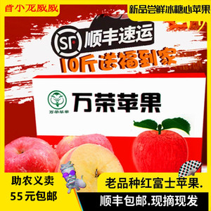 晋小龍威威山西万荣红富士甜心老品种苹果10斤果园新鲜水果现摘