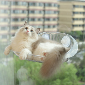 猫窝四季通用猫爬架猫咪窗户吸盘挂床秋千阳台床边玻璃睡觉猫吊床