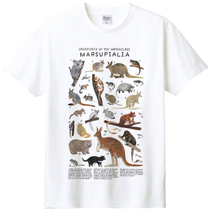 有袋动物科普短袖T恤 澳大利亚动物旅游礼物纯棉染印情侣亲子个性