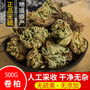 卷柏 九死还魂草正品中药材500g包邮石柏粉 不死草 还阳草 长生草