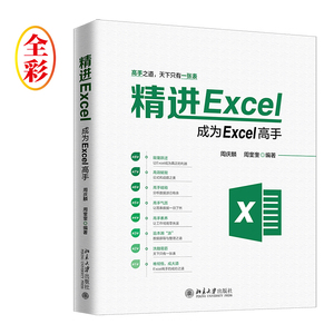 精进Excel 成为Excel高手  excle教程书 会计excel 电脑基础知识 办公应用 office书 wps教程书籍2019 wps表格教程 办公书籍