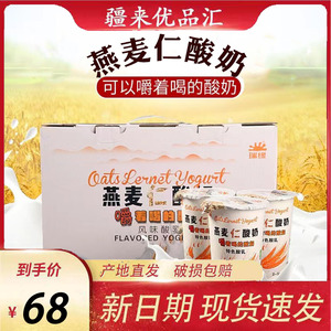 新疆瑞缘燕麦仁酸奶180g*12杯整箱风味发酵乳营养燕麦早餐酸奶