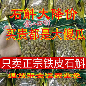 正宗铁皮石斛软脚耳环石斛枫斗胶质多少渣无苦真货非霍山足干正品