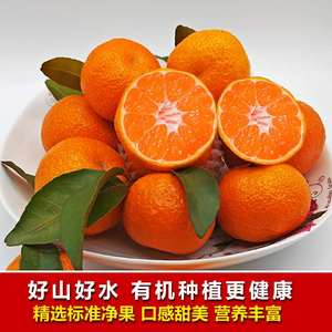 正宗广西砂糖橘沙糖桔新鲜水果5斤 当季超甜小橘子桔子蜜橘整箱10
