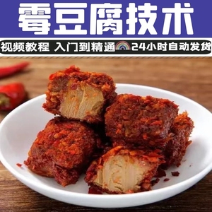 香辣霉豆腐小吃技术配方教程老豆腐乳制作视频教学培训课特色美食