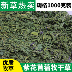 年苜蓿草新茬烘干宠物兔粮饲料紫花苜蓿牧干草毛重1000克包邮 阿里巴巴找货神器 年苜蓿草新茬烘干宠物兔粮饲料紫花苜蓿牧干草毛重1000克包邮 阿里巴巴找货神器
