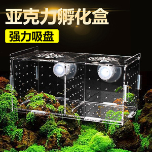亚克力孔雀鱼繁殖盒孵化盒 鱼缸隔离盒产卵器 鱼卵繁殖箱小鱼产房
