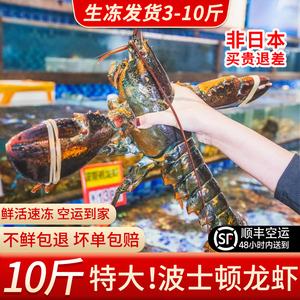波士顿龙虾超特大龙虾10斤巨型冷冻波龙鲜活澳龙年货海鲜大礼包