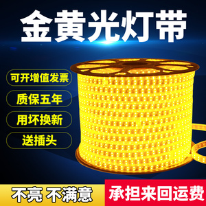 2835双排金黄光灯带220v超高亮 客厅吊顶暖黄色led光带户外防水灯