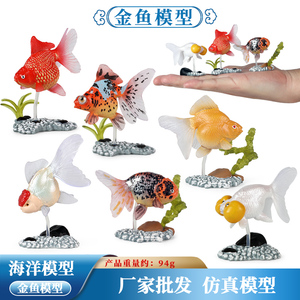 儿童礼物仿真迷你海洋动物造景摆件玩具模型金鱼娃娃鱼热带鱼锦鲤
