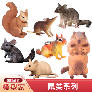 儿童野生动物园世界玩具模型老鼠毛丝鼠松鼠家鼠鼹鼠土拨鼠黄鼠狼