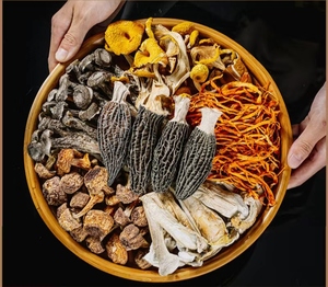 西藏特产9种菌汤包虫草花羊肚菌姬松菌竹荪营养煲食材非云南120g