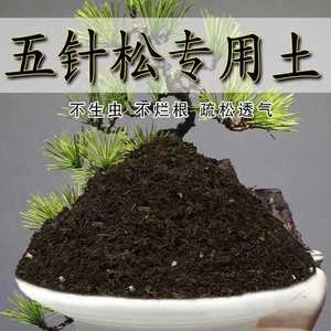 五针松专用土五针松土盆栽土肥料种花泥土营养土通用种植土壤养花