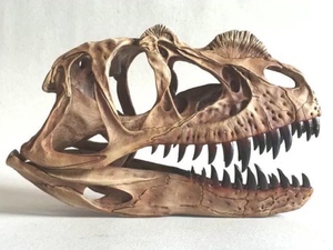 恐龙宝贝仿真霸王龙双冠龙翼龙骨骼化石模型标本梦娜娇君工艺包邮