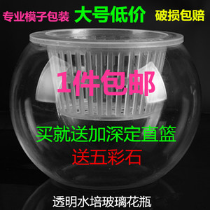 大号简约水培植物玻璃瓶 绿植绿萝花瓶花盆玻璃圆球　鱼缸容器皿