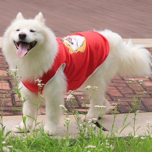 狗狗衣服夏季春夏薄款背心中型大型犬萨摩耶金毛拉布拉多夏天衣服