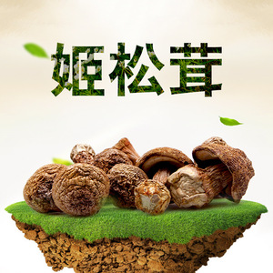 姬松茸西藏特产干货旗舰店新鲜松茸菌菇野生菌蘑菇煲汤材料大真鲜