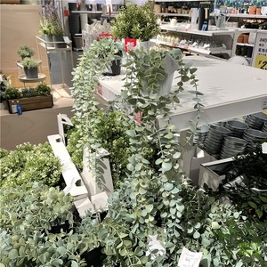 济南IKEA宜家菲卡人造盆栽植物室内室外悬挂装饰假花桉树爱之蔓