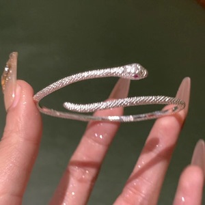 银蛇缠绕手镯轻奢小众设计感女精致冷淡风手链个性级感手环蛇形