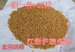 新小麦粒农家小麦榨汁小麦钓鱼饵鸡鸭鹅鸟鸽饲料干麦粒20斤
