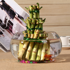 包邮 特价透明生态创意玻璃圆形金鱼缸乌龟缸水培植物缸花瓶花盆